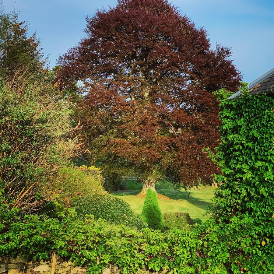 The Old Manse Of Blair, Boutique Hotel & Michelin Restaurant Blair Atholl Eksteriør bilde
